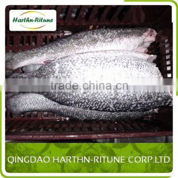 Good Price Tasty Organic Tilapia Fillet Fish