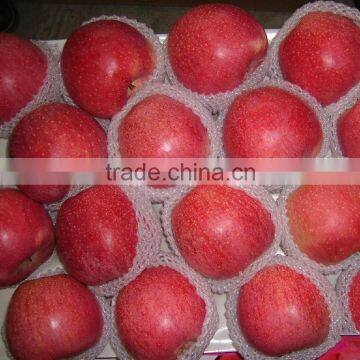 Hot sale Chinese apple fruit fresh Qinguan apple