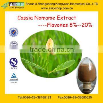 High Quality Cassia Nomame Extract with 20% Flavons