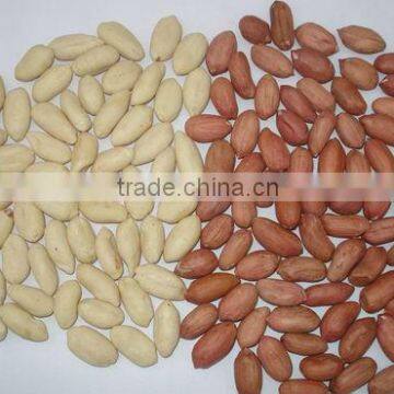 Chinese new crop peanut kernel