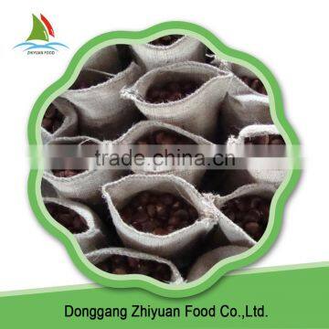 China High Quality Peeled Common Health Chestnuts photo-6