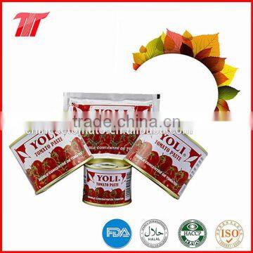 Double Concentrated Sachet Tomato Paste OF YOLI Brand with Low Price