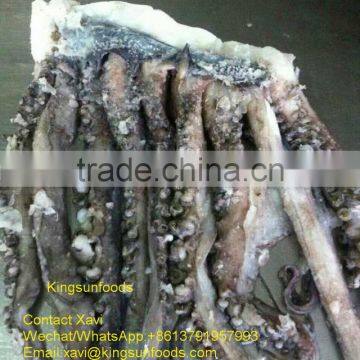 Whole Sale Peru Giant Squid Frozen Tentacle