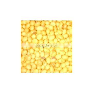 Soya Beans