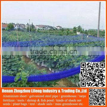 china factory hdpe greenhouse anti bird trap mist net , plastic fruit bird protection net , pe plant support anti bird green net
