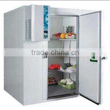 Deep Freezer Fish Cold Storage