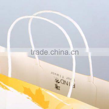 Documents Carry Paper Bag, Twisted Handle Paper Carrier Bag for Documents photo-4