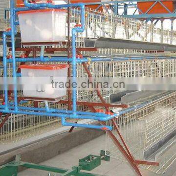 next quality broiler poultry farm equipment