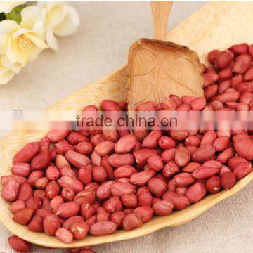 High Efficiency !!! Peanut Skin Peeling Machine/Peanut Skin Sheller Machine/Peanut Red Skin Removing Machine With Factory Price photo-6