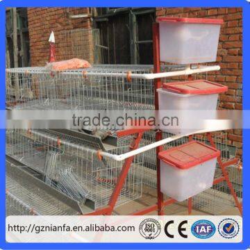 galvanized wire Material and A type and H type Type build chicken coops/chicken cage(Guangzhou Factory)