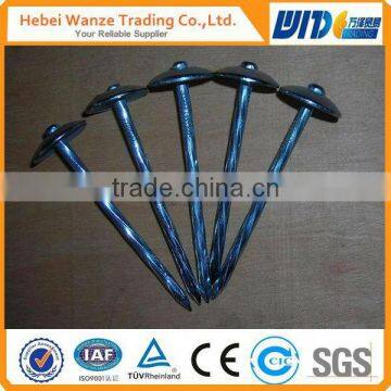 Roofing nial/Galvanized umbrella head roofing nails with plastic rubber washer factory