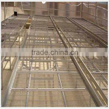 .com Galvanized Square Mesh Wire Netting / Sri Lanka Elector Galvanzied Welded Wire Mesh/welded Wire Mesh photo-6