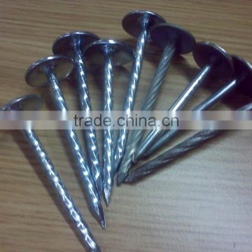 hot-dip galvanized roofing nails