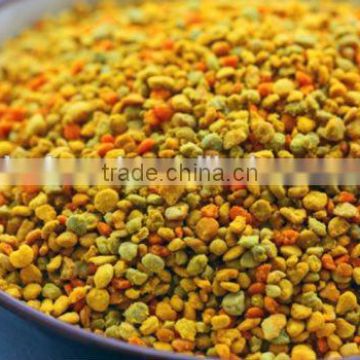 2015 Promote 100% china pure nature fresh bee pollen powder