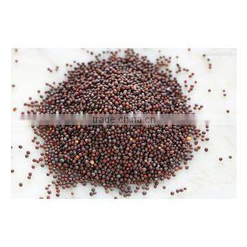 Mustard Seeds Multiple Layer Continuous Type Mesh Belt Dryer photo-6