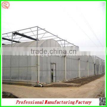 Low Cost Arched Type Multi-span Vegetable Greenhouses With Hydroponics System photo-5