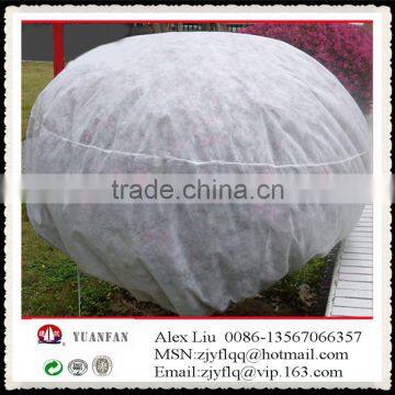 Crop Antifreeze Membrane, Agricultural Insect-resistant Membrane, Agricultural Product Protective Film photo-2