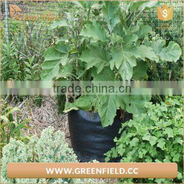 Eco Friendly Garden Felt Grow Bags Recyclable Fabric Plant Grow Bag photo-3
