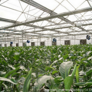 Greenhouse Hanging Exhaust Fan