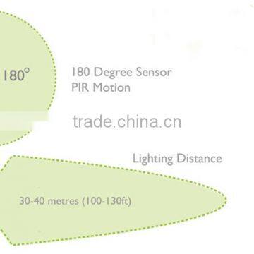 High Lumen Outdoor Ip65 30w Motion Sensor Led Work Light photo-5
