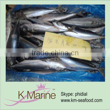 300g up Land Frozen Mackerel Fish