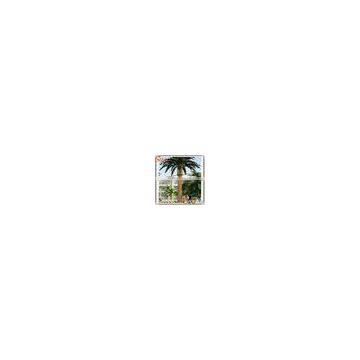 Best Selling Products Large Outdoor Artificial Palm Trees Tropical Plants Life Size Artificial Trees photo-6