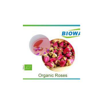 Organic Rose Bud