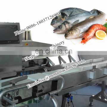 Stainless steel lobster / prawn grading sorting machine