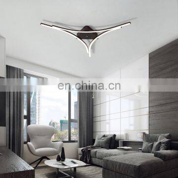 Creative Line Acrylic Ceiling Lamp Hot Bedroom Lamp photo-2