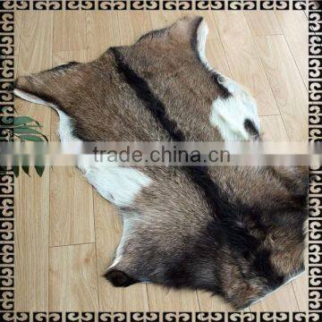 Whole Sale Goat Skin100% Goat Skin With Nature Growth Pattern Quality Choice