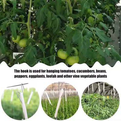 Metal Tomato Rope Hooks Support Clamps for Cucumber Tomato Pepper Eggplant Vines Flower Plant With PP Twine photo-4