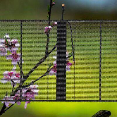 led-прозрачный дисплейный экран, прозрачный экран, led-дисплейный экран с высокой прозрачностью, дисплейный экран для витрин