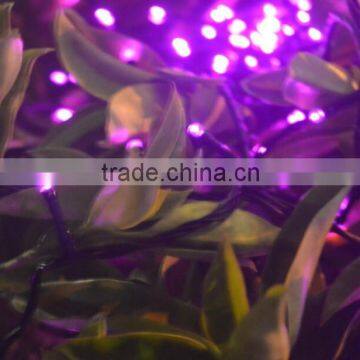 Best Selling 22m 200 LED Solar Christmas String Light for Outdoor, Gardens, Homes, Christmas Party Pink photo-2