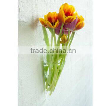 Hang glass vase clear transparent leadfree customized special unique radish shape popular model