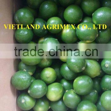 VIETNAM SEEDLESS AND FRESH LIME/LEMON