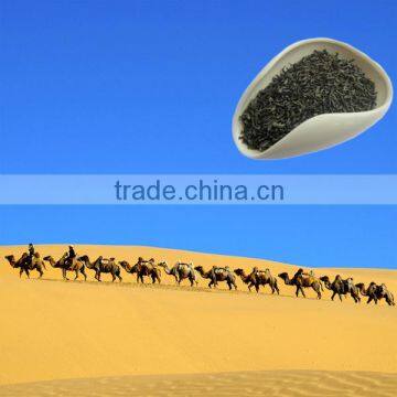 China green tea 41022A for Benin, Nigeria, Cameroon, Mali, Burkina faso, Niger, etc