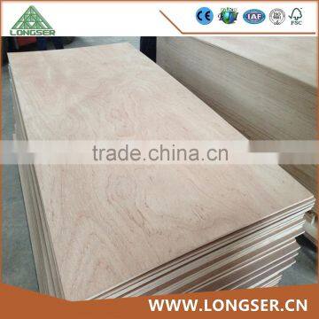 18mm Bintangor Veneer Cheap Plywood Sheet For Sale