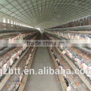 Chicken feeding device make in China