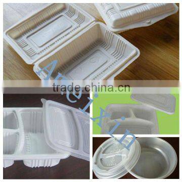 OEM Clear Fast Food Box