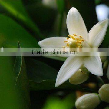 Neroli Extract