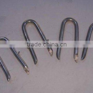 5.0mm U type iron nail for fence