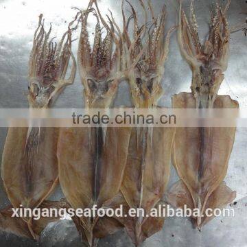 dried squid