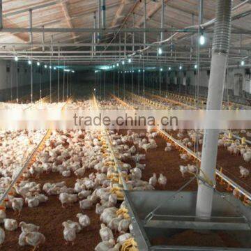 Super quality automatic livestock feeders made in China