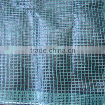 clear mesh/leno pe fabric tarpaulin sheets for building trade,membrane structure