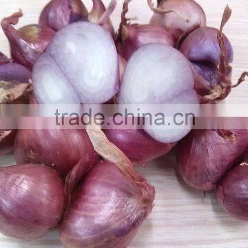 BEST PRICE RED ONION OF VIET NAM (Email: julia.vilaconic@gmail.com)