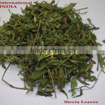 Stevia Rebaudiana / Stevia Leaf / Stevia Leaf T Cut photo-5