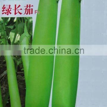 High Quality Good Taste Green Long Eggplant Seeds For Planting