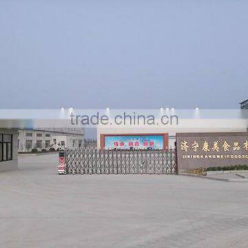 Hot Sale! Factory Produce High Quality Dried Strawberry photo-4