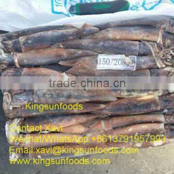 Wholesale Illex Squid for Sale,150/200g