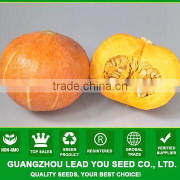 PU06 Hongli very sweet round orange pumpkin seeds, sweet pumpkin seeds for planting